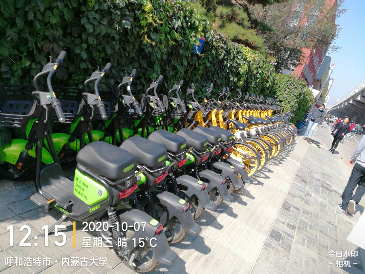 共享單車(chē)下載很簡(jiǎn)單，不同品牌區(qū)別大嗎?